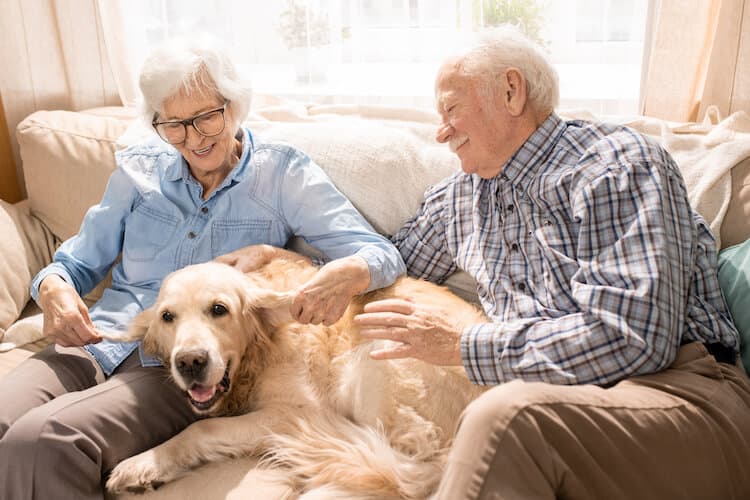Happy couple with their dog living in pet-friendly senior living.