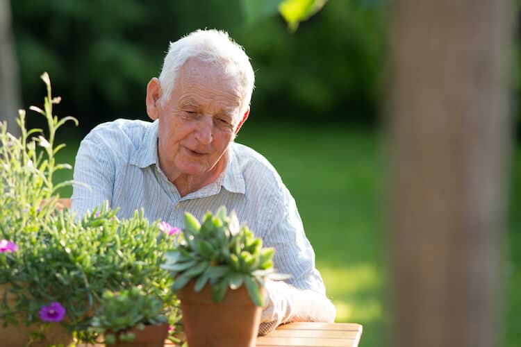 Gardening is a fun hobby that also contributes to your wellbeing. Learn more about the physical, mental and social benefits of gardening from The Oaks at Denville.
