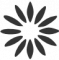 sptcomm-343434-mark dark flower icon